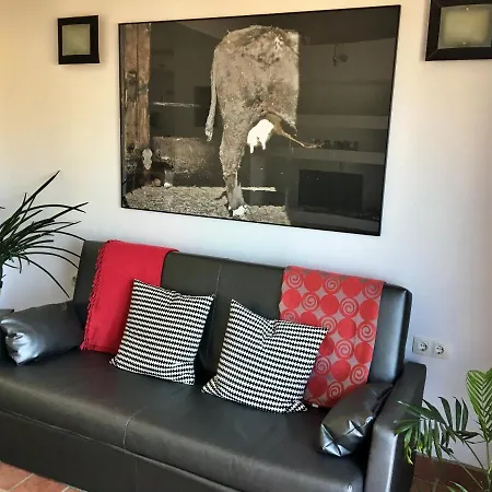 Costadelsolflat Apartamento